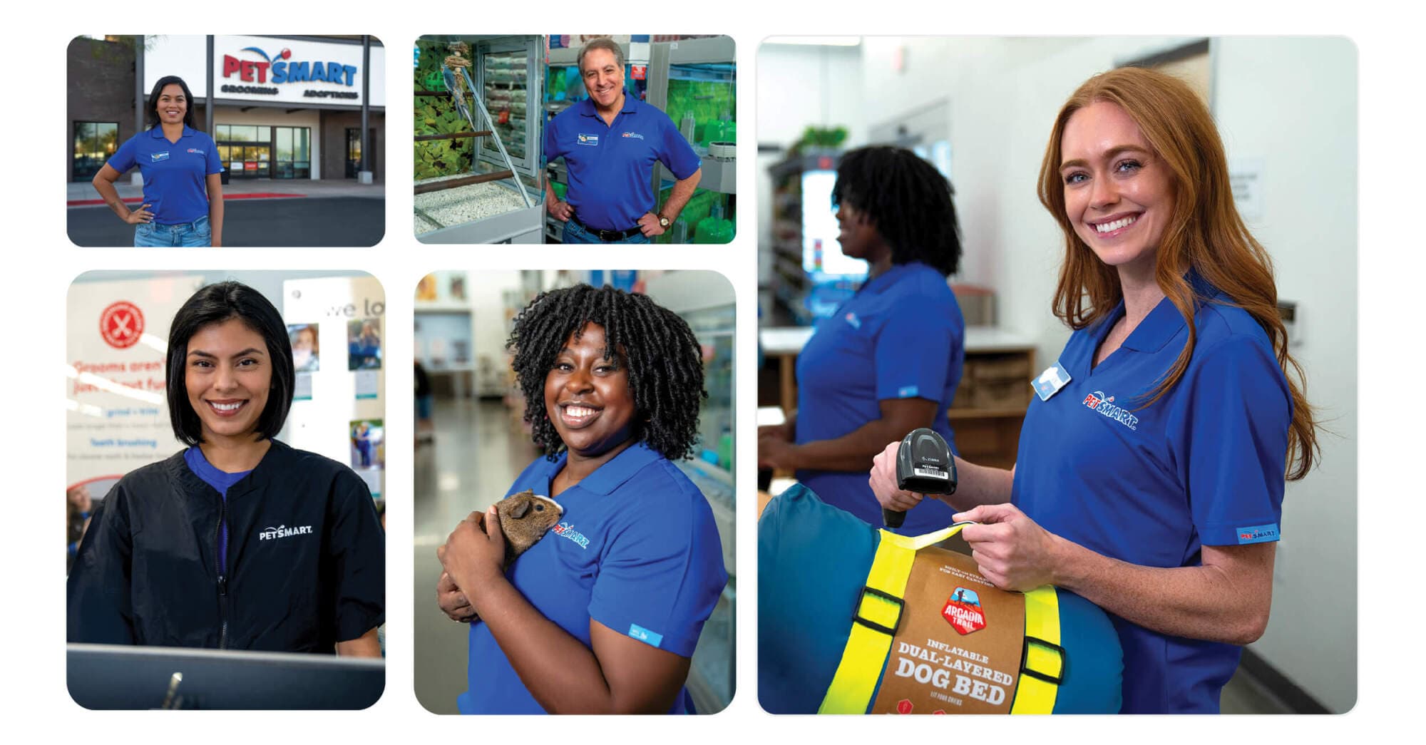 PetSmart’s CSR Report: Crafting a Story of Impact — PetSmart
